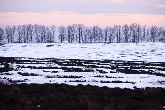 Late Winter Landscape In Ukraine With Some Snow Patches Spread