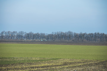 Fototapeta na wymiar Early spring landscape with agricultural Sprinkler on winter wheat field. Sunny day, concept of natural agriculture.