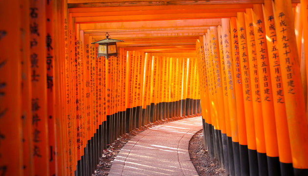 Red torii gates in Fushimi Inari