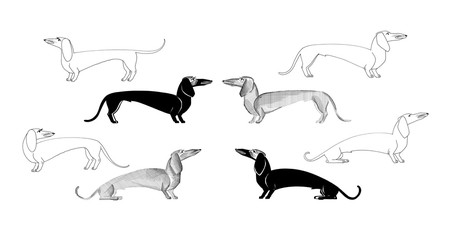 Collection of eight good dachshund dogs hand drawing with black ink on a white background