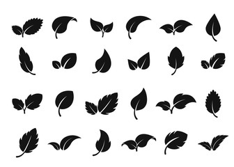 Leaves logo. Leaf icon set. Herbal eco abstract label. Bio, vegan or pharmacy concept. Fresh mint isolated sign. Vector tree sprout