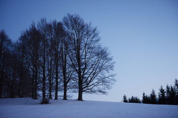 Ora Blu