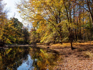 Obraz premium Pond in Pascack Brook County Park
