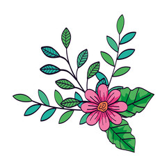 cute flower pink color with branches and leafs vector illustration design