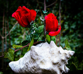 Seashell and fake roses