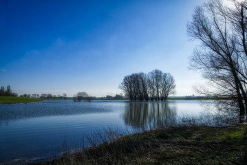 Hochwasser am Altrhein bei Rees