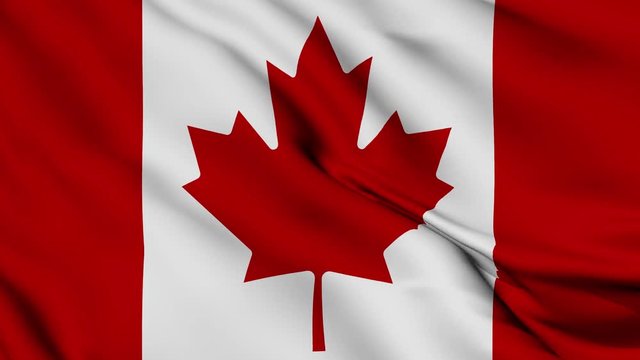 Canada flag is waving 3D animation. Canada flag waving in the wind. National flag of Canada. flag seamless loop animation. 4K