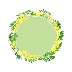 Decorative frame with Mimosa. A wreath of Mimosa. Illustration on a white background.