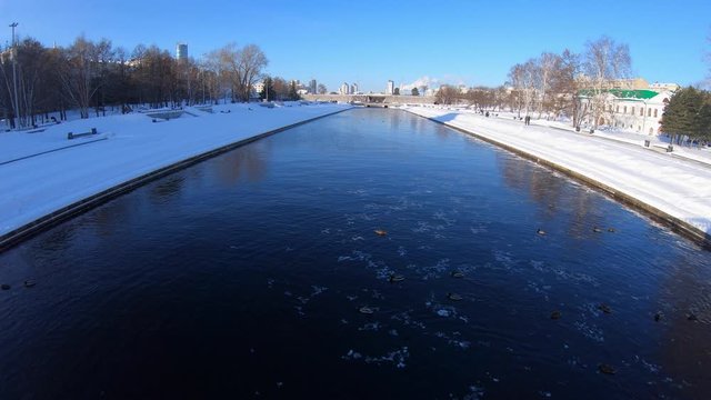 Winter ducks in Plotinka section of Iset River, Yekaterinburg Russia
