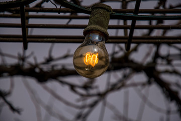 Light bulb with filament at dusk