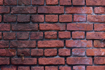 Unique wall texture of old red bricks with white deposits on the surface close-up