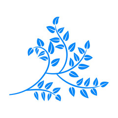 Fototapeta na wymiar branches with blue foliage for creativity