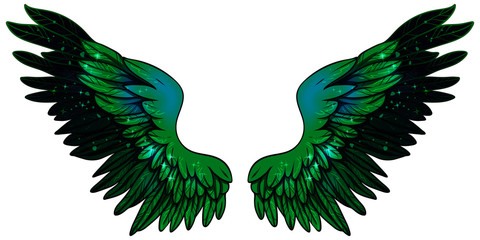 Fototapeta na wymiar Beautiful magic bright fantastic glowing gradient green black vector wings