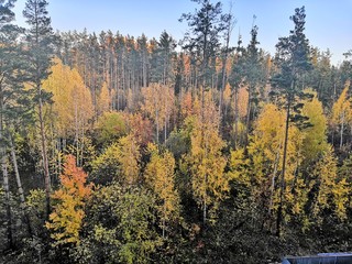 Sumer time in Novosibirsk 