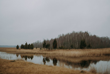 lake near forest cloudy day