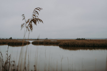 cloudy lake view with orange grass in autumn