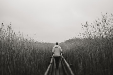 man walking on footpath in autumn near reeds