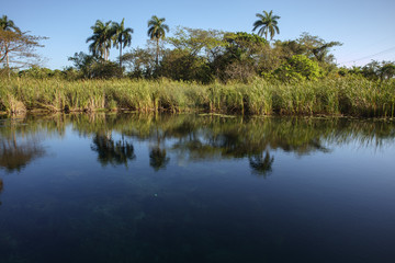Fototapeta na wymiar A pond with clear water. Cuba