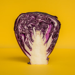 Purple cabbage