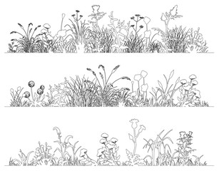 Field flowers and grass landscape set, line art