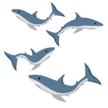 set of blue sharks isolated on white background