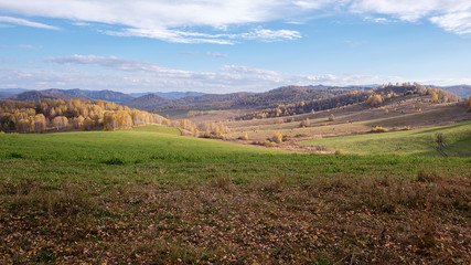 Green fields and autumn forest. Sunny day in the mountains of Altai.