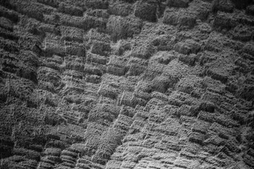 texture of pavement