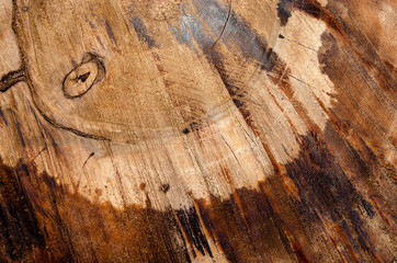 Dark wooden background or texture for designer.