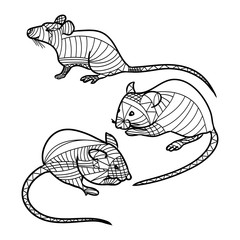 Highly detailed abstract mouse illustration. Animal patterns with hand-drawn