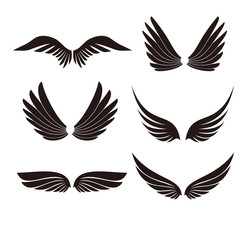 Fototapeta premium Wings icons set on white background for graphic and web design.