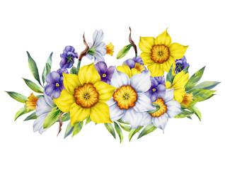 Watercolor composition with spring daffodils, pansies and green leaves on white background. Element for design,card, invitation, poster.
