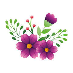cute flowers purple color with branches and leafs vector illustration design