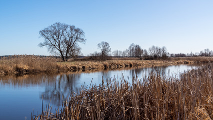 Rzeka Narew. Wiosna nad Narwią. Podlasie. Polska © podlaski49