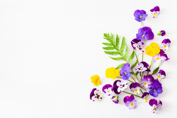 beautiful pansy summer flowers flatlay on white