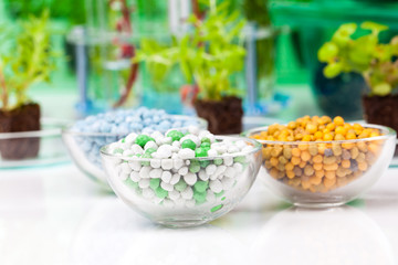 nutrition for plant growth on a white background
