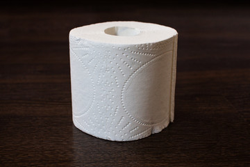 roll of toilet paper