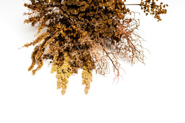 Bouquet of dried herbs and flowers on a white background.