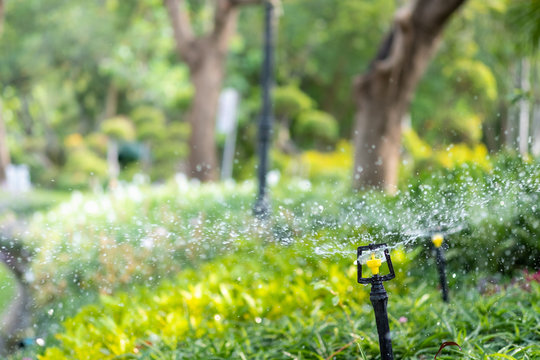Amazing nature view of sprinkler on blurred greenery background in garden and sunlight with copy space using as background natural green plants landscape, ecology, fresh wallpaper concept.