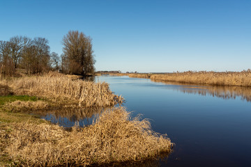 Rzeka Narew. Wiosna nad Narwią. Podlasie. Polska © podlaski49