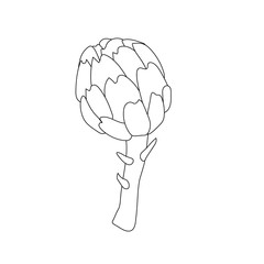 Vintage linear set with artichoke outline. Delicious food illustration. Design element. Vector logo design. Flower icon. Decoration element. Art illustration. Artichoke icon.