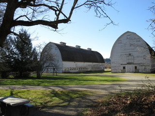 Obraz premium old barn in the field