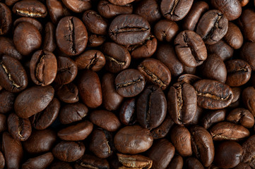  background texture coffee beans top view macro photography. copyspace
