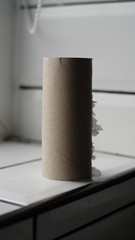 Cardboard tube of a roll of toilet paper stands alone, empty on a bathroom tiled shelf. Panic buying has caused a shortage  around the world. During this coronavirus pandemic we are seeing shops empty