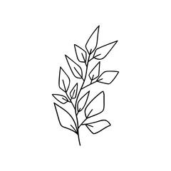 Doodle branch with leaves on white isolated background. Single natural object.