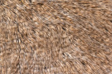 Brown real wool with a dark top texture background, orange natural wool,  fluffy fur texture for designers, close-up  wool rug