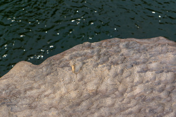 Cliffs along the river bank with green water surface background.