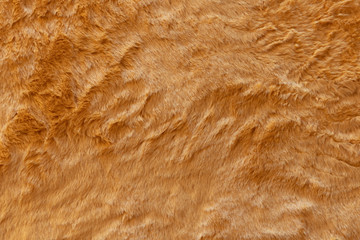 Brown real wool with a dark top texture background, orange natural wool,  fluffy fur texture for designers, close-up  wool rug