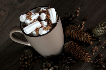 Hot chocolate with marshmallow in a cup
