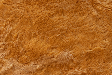 Brown real wool with a dark top texture background, orange natural wool,  fluffy fur texture for...