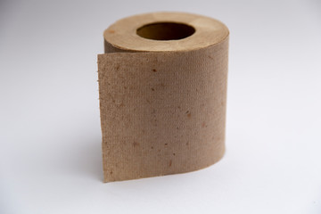 recycled toilet paper roll